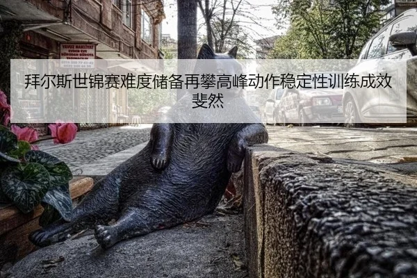 bai-er-si-shi-jin-sai-nan-du-chu-bei-zai-pan-gao-feng-dong-zuo-wen-ding-xing-xun-lian-cheng-xiao-fei-ran-3-739.jpg