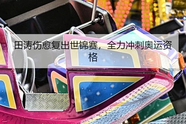 田涛伤愈复出世锦赛，全力冲刺奥运资格