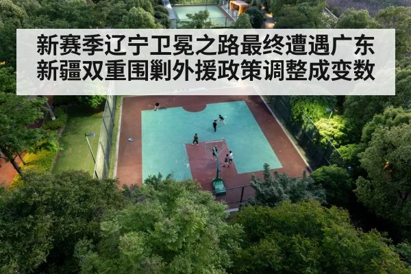 Chinese basketball players